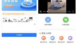 下载快手视频,揭秘热门短视频背后的故事